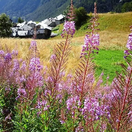 Semesterbostad Casa Di Montagna Valle D'aosta - *